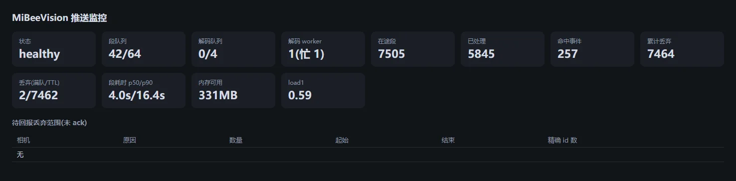 Vision 推送监控页